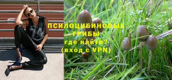 каннабис Гусиноозёрск
