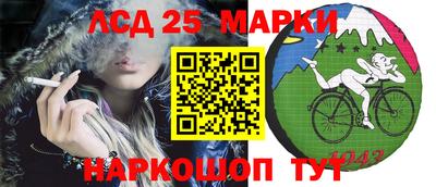 твердый Будённовск