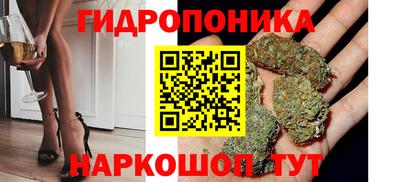 твердый Будённовск