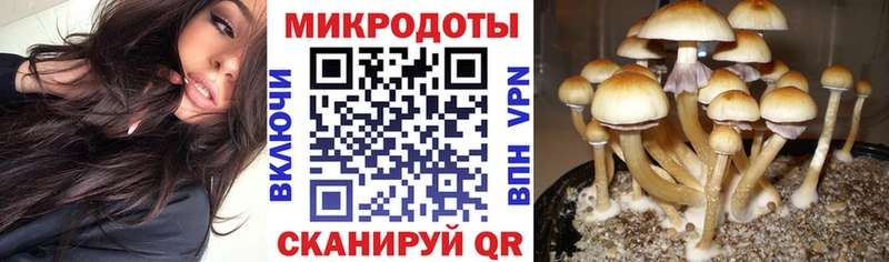 Галлюциногенные грибы GOLDEN TEACHER  hydra рабочий сайт  Десногорск  купить наркоту 