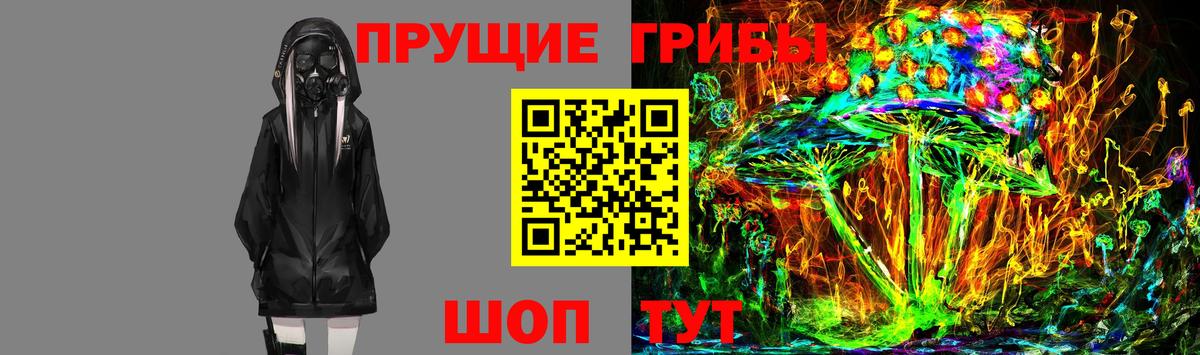 Псилоцибиновые грибы GOLDEN TEACHER Десногорск