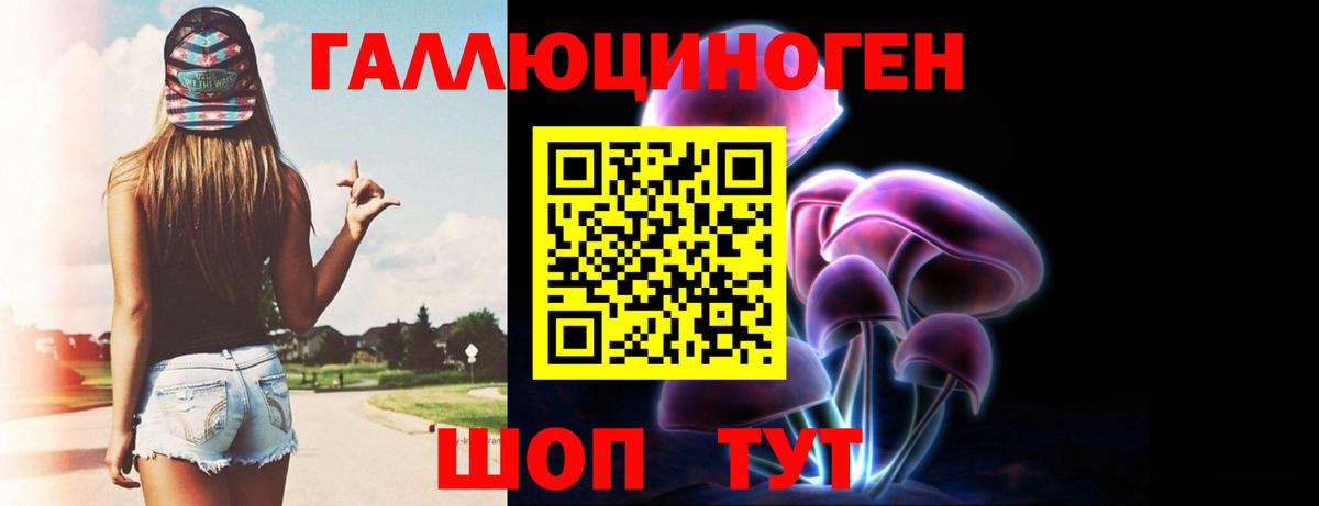 Псилоцибиновые грибы Psilocybe  Псилоцибиновые грибы прущие грибы  Десногорск  Вход с VPN 